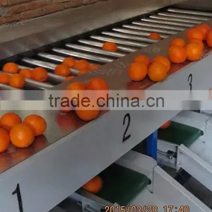 Electronic Fruit Sorting Machine thumbnail-6