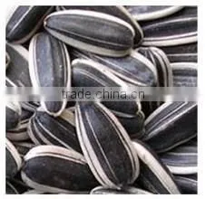 Sunflower Products thumbnail-1
