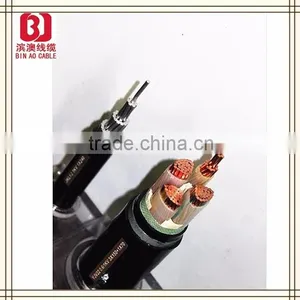 Various Types of Xlpe and Pvc Insulation Power Cable thumbnail-1