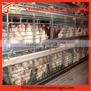 Stable Steel Structure Professional Chicken Egg Layer Cage Chicken Egg Layer Farming thumbnail-2