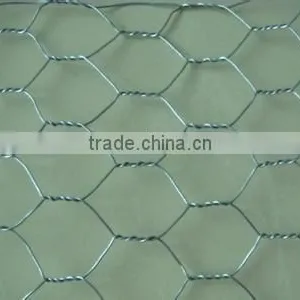 3/4" Galvanized Hexagonal Chicken Wire Mesh For Sales(factory) thumbnail-1