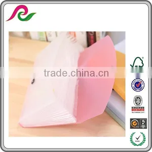 OEM&ODM a3 Size Plastic Poster Folder thumbnail-6