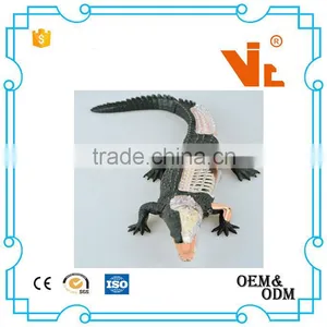 V-AM053 4D MASTER Crocodile Specimen Anatomical Model With Organ Skeleton thumbnail-4
