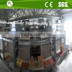 Automatic Chicken Egg Collecting Machine for Farm thumbnail-4