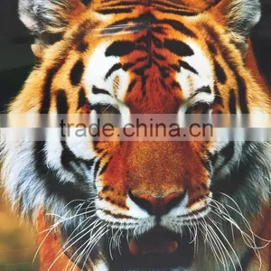 Digital Sublimation Printer.Digital Heat Transfer Machine.Use the Ribbon.No Ink-SN-1600I thumbnail-3