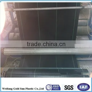 China Factory Supply Water Trough Plastic Wheat Grass Mat pp Greenhouse Ground Cover thumbnail-1