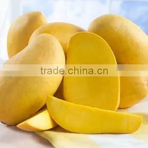 Indian Mango Supplier thumbnail-1