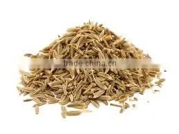 Indian Spices - Indian Origin Cumin thumbnail-5