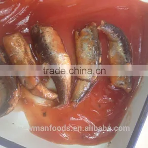 All Type of Canned Sardine Fish in Tomato Sauce thumbnail-4