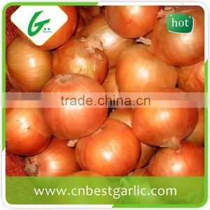 China Cheap Onion Price thumbnail-1