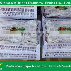 Globe Price Of Chinese Fresh Red Globe Grape thumbnail-2