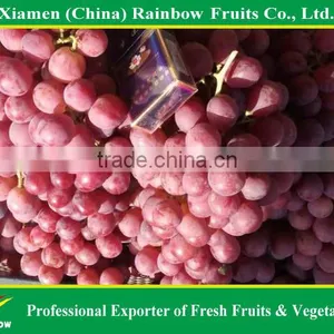 Fresh Red Globe Grape From Yunnan Xinjiang China thumbnail-2