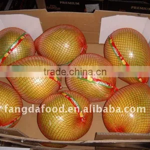 China Pomelo Fruit thumbnail-1