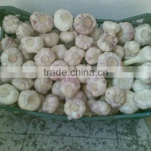 Best Price Natural Chinese Fresh Red / White Garlic thumbnail-2