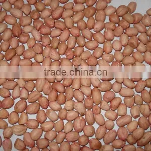 Small Packed Peanuts thumbnail-1