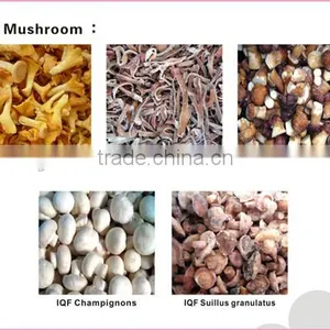 China Good Price Frozen Summer Truffle 2015 thumbnail-5