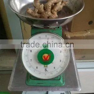 VIETNAM DRIED SLICE GINGER, BEST PRICE, HIGH QUALITY (+841657106604 - WHATSAPP) thumbnail-6