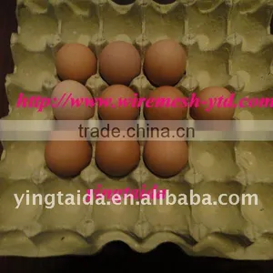Egg Tray Pulp thumbnail-1