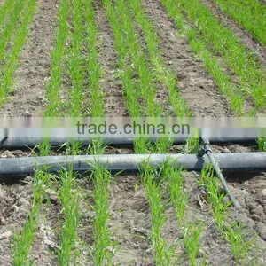 The Trunk Pipeline Water Transport Pipe thumbnail-3