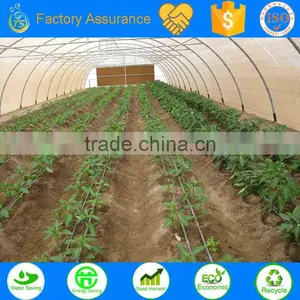 TS Irrigation Green House Drip Irrigation System Saving Water Products Sample thumbnail-3