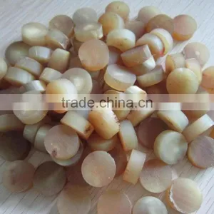 Natural India Buffalo Horn Button Blank for Coat thumbnail-2
