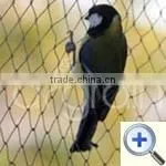 Anti Bird Net thumbnail-1