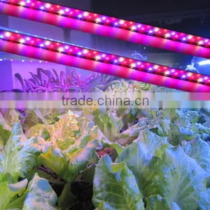 Wholesale 60W Veg Led Grow Light Bar Full Specturm Marshydro Led Grow Light Strip/ Bar thumbnail-2