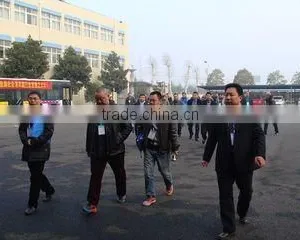 Hubei Jinlong New Materials Co., Ltd. company overview - view 1 thumbnail