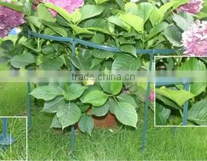 Plants Support thumbnail-1