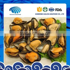 Frozen Iqf Half Shell of Mussel Meat From Better Producer thumbnail-1