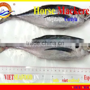 W/R FROZEN HORSE MACKEREL thumbnail-1