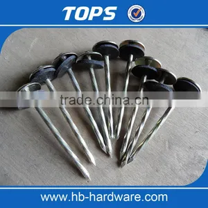China Corrugated Umbrella Roofing Nails thumbnail-1