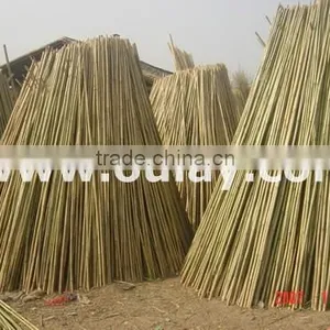 Raw Bamboo Poles Dry Canes CHEAP thumbnail-1