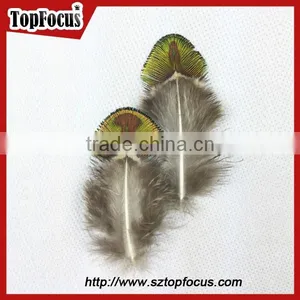 Hot Sale Designer Indian Cheap Natural Artificial Peacock Feathers thumbnail-6