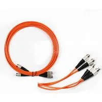 Multi Mode FC-FC(PC/UPC) Patch Cord(duplex) thumbnail-3