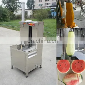 Food Grade Fruit Vegetable Peeling Machine thumbnail-3