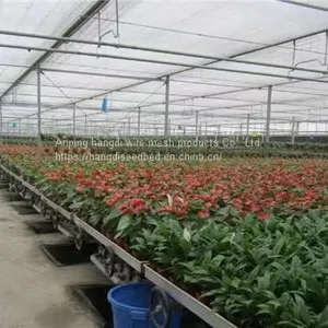 Greenhouse Flower Cultivation Vegetable Seedling Rice Seedling Seedling Bed Production Factory thumbnail-3
