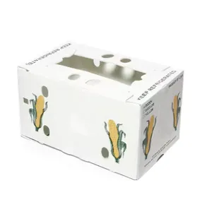 Reusable PP Hollow Packaging Box – Corrugated Plastic Crate for Fruit and Vegetable Transport thumbnail-2