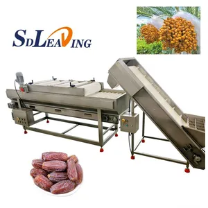 SDLEADING Full-Automatic Passion Fruit Production Line Date Washing Cleaning Processing Machine Food Sterilizer for Vegetable thumbnail-1