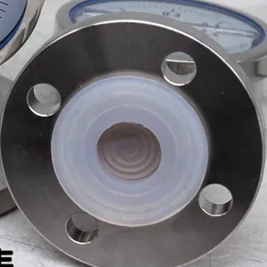 Diaphragm Pressure Gauge Industrial SS316 PTFE Flange 100mm Diaphragm Seal Corrosion Proof Pressure Gauge thumbnail-2