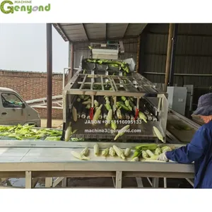 Genyond Factory Industrial Green Corn Peeler Machine Corn Sheller Machine For Sale thumbnail-4