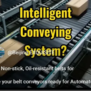 Black Belts for Distribution & Logistics. thumbnail-3