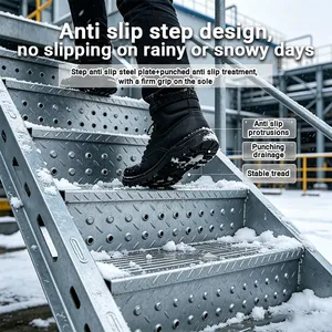Outdoor Weatherproof Galvanized Steel Safety Ladder With Protective Cage for Building Exterior Wall thumbnail-1