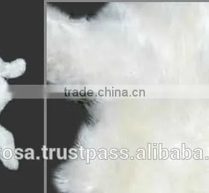 WHITE BABY ALPACA HIDE thumbnail-1