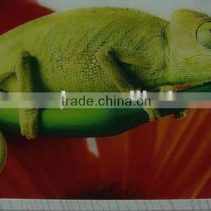 UV Printing on Vinyl / Pvc Sheet / Glass / Wood / Arclic thumbnail-1