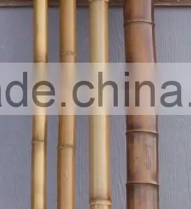 Dry Straight Farming Bamboo Poles for Sales thumbnail-2