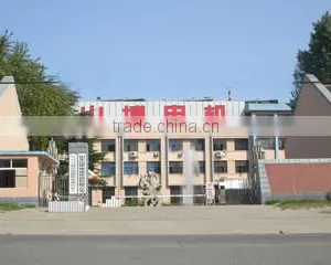 Shandong Shanbo Electric Machine Group Co., Ltd. company overview - view 2 thumbnail