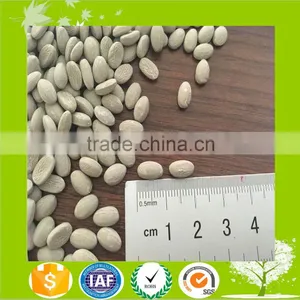 Plastic Desiccant Masterbatch/Cao Desiccant Masterbatch thumbnail-1