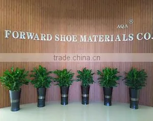 Fujian Forward Shoe Materials Co., Ltd. company overview - view 1 thumbnail