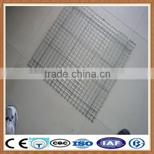 Galvanized Welded Wire Mesh for Chicken/ Bird thumbnail-1